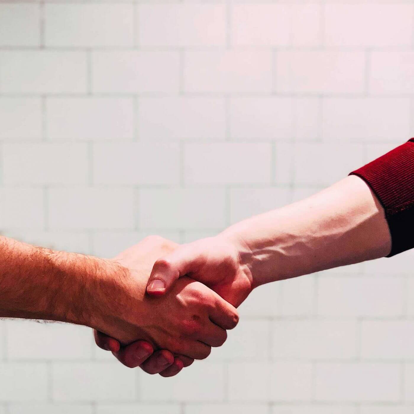 A closeup of two people shaking hands.